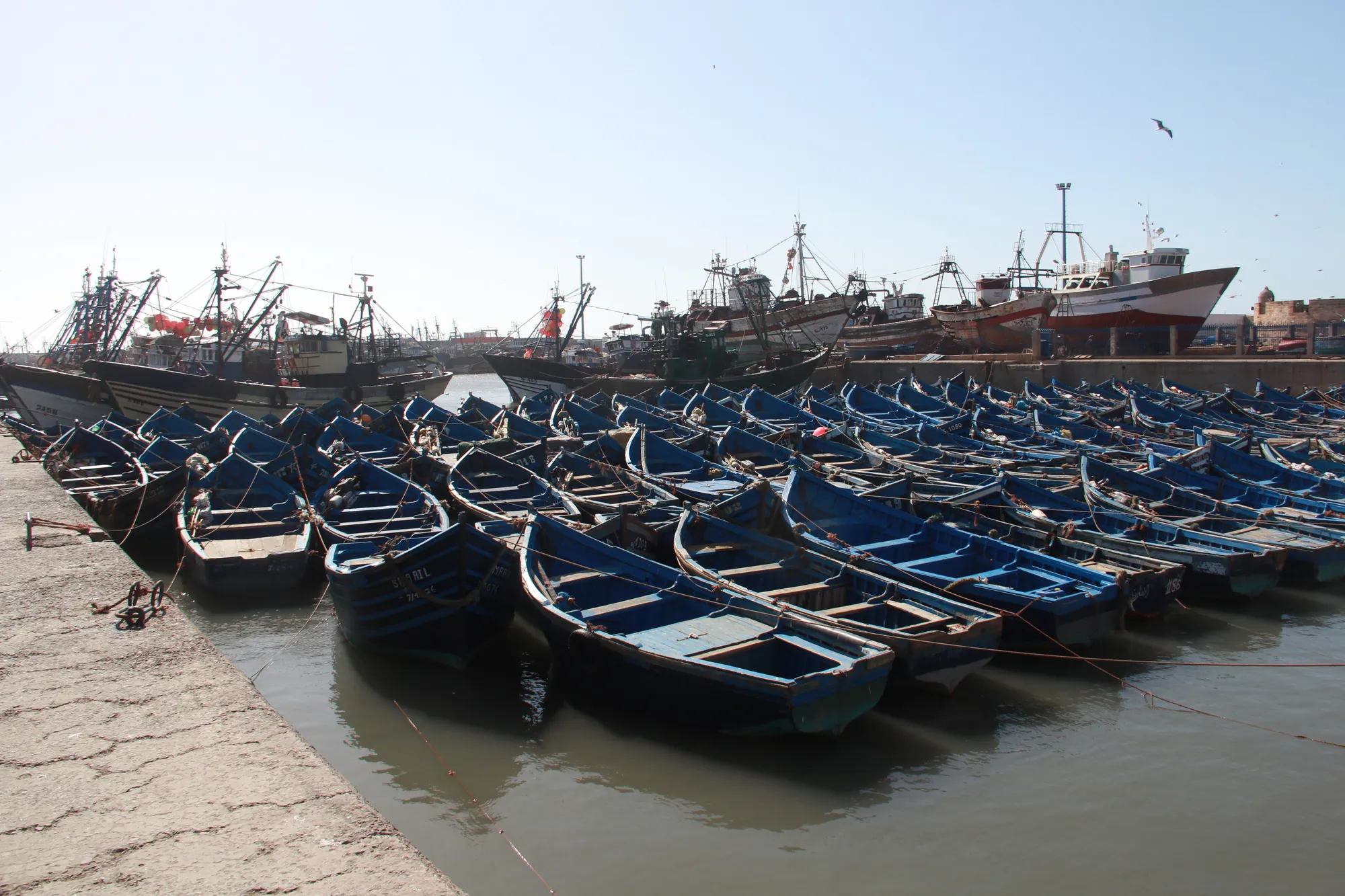 Agadir Boat Trip photo 19