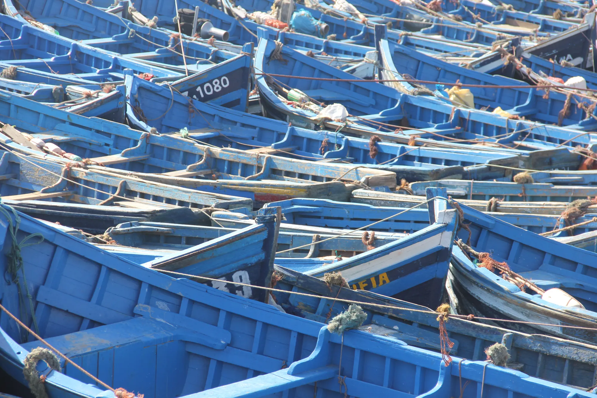 Agadir Boat Trip photo 20