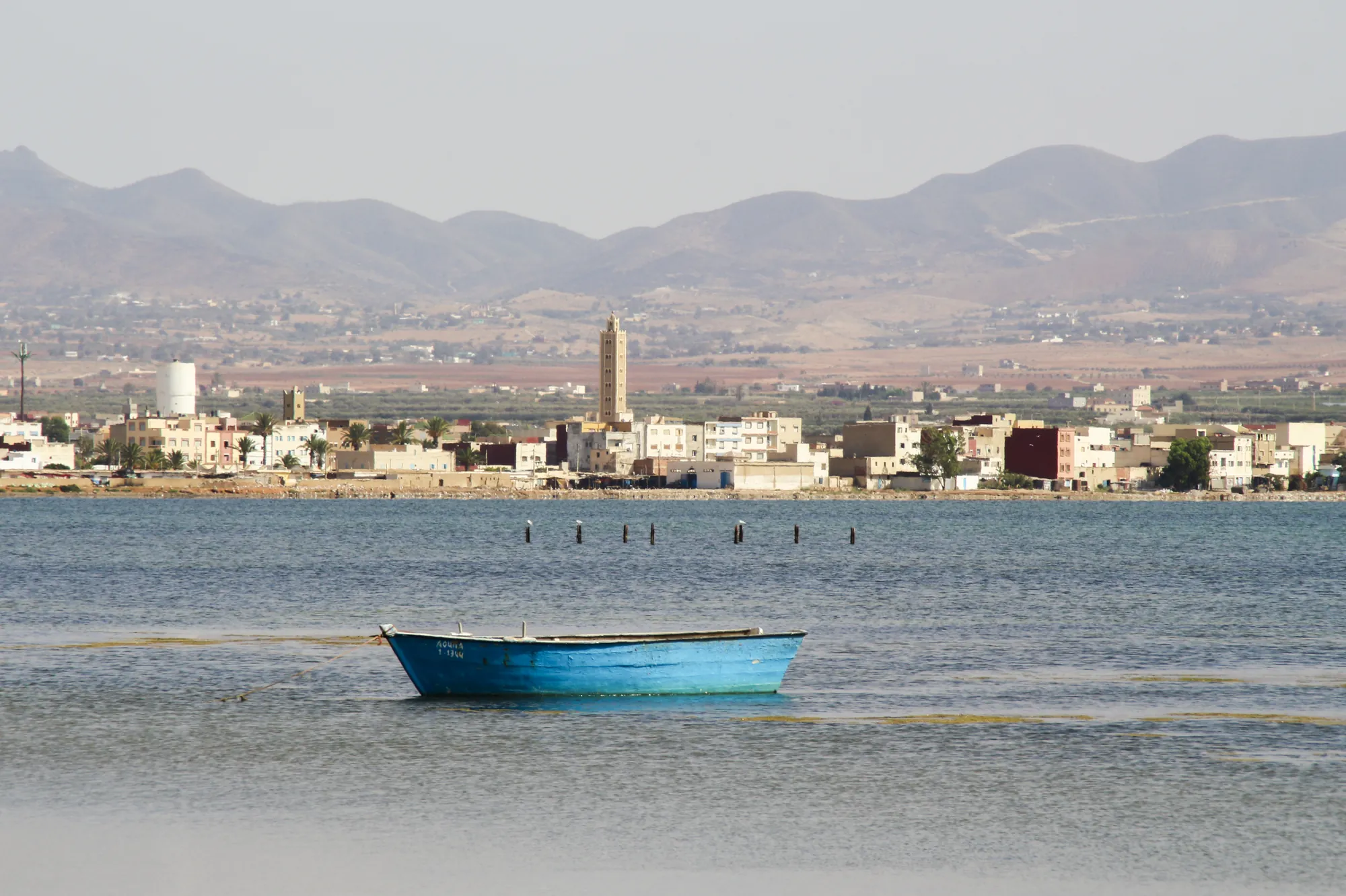 Agadir Boat Trip photo 22