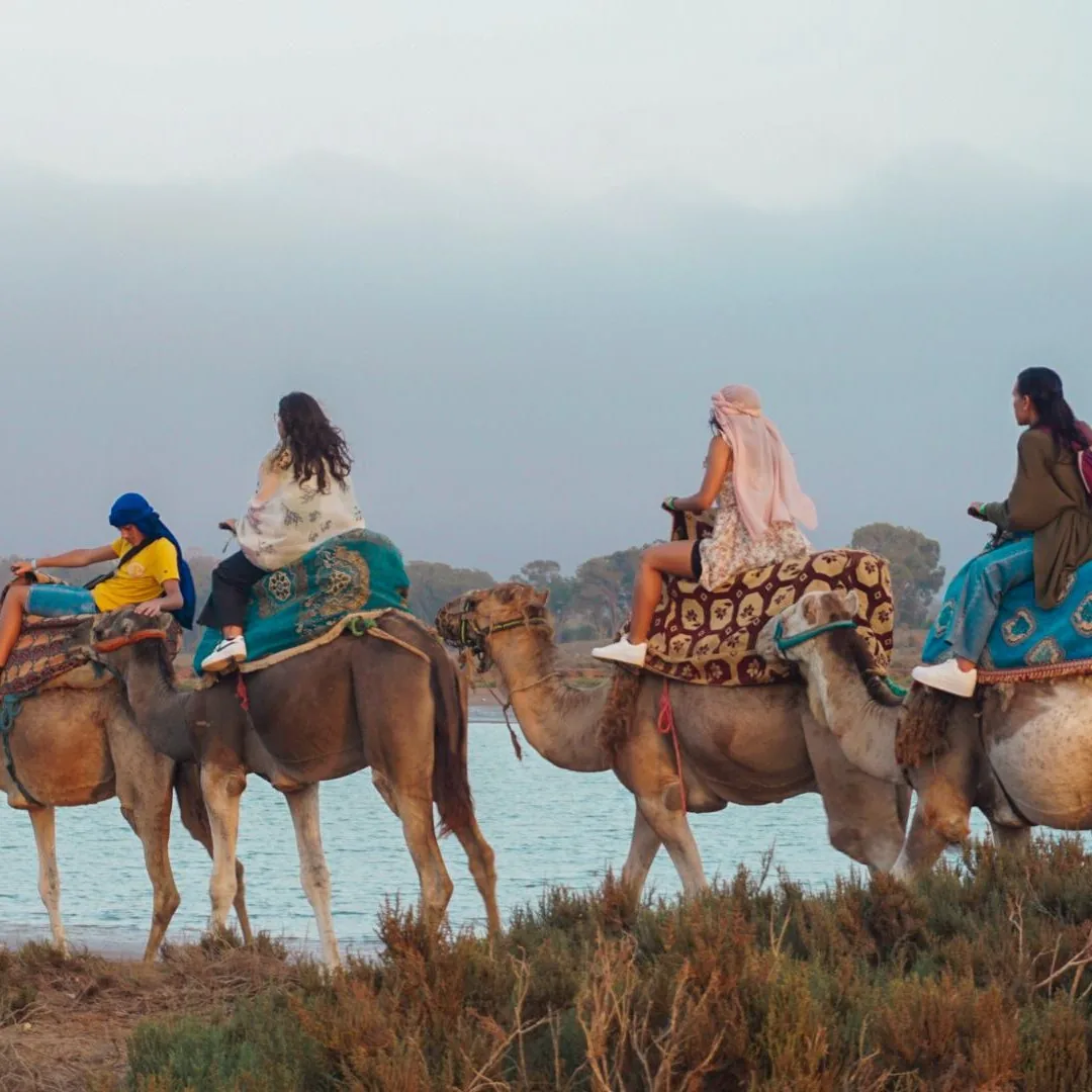 Camel Ride photo 7