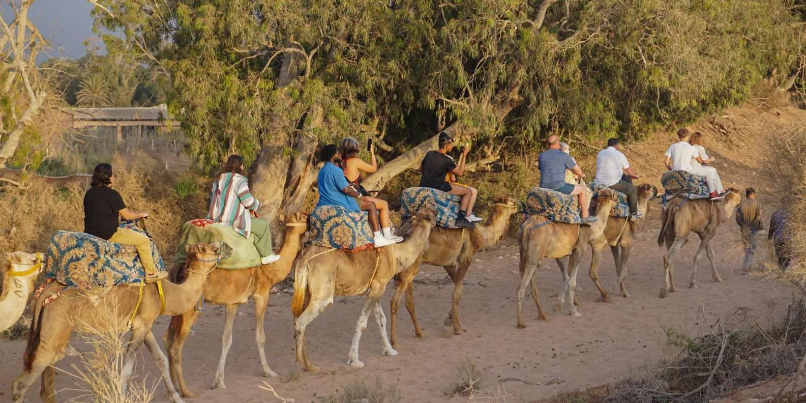 Camel Ride photo 8