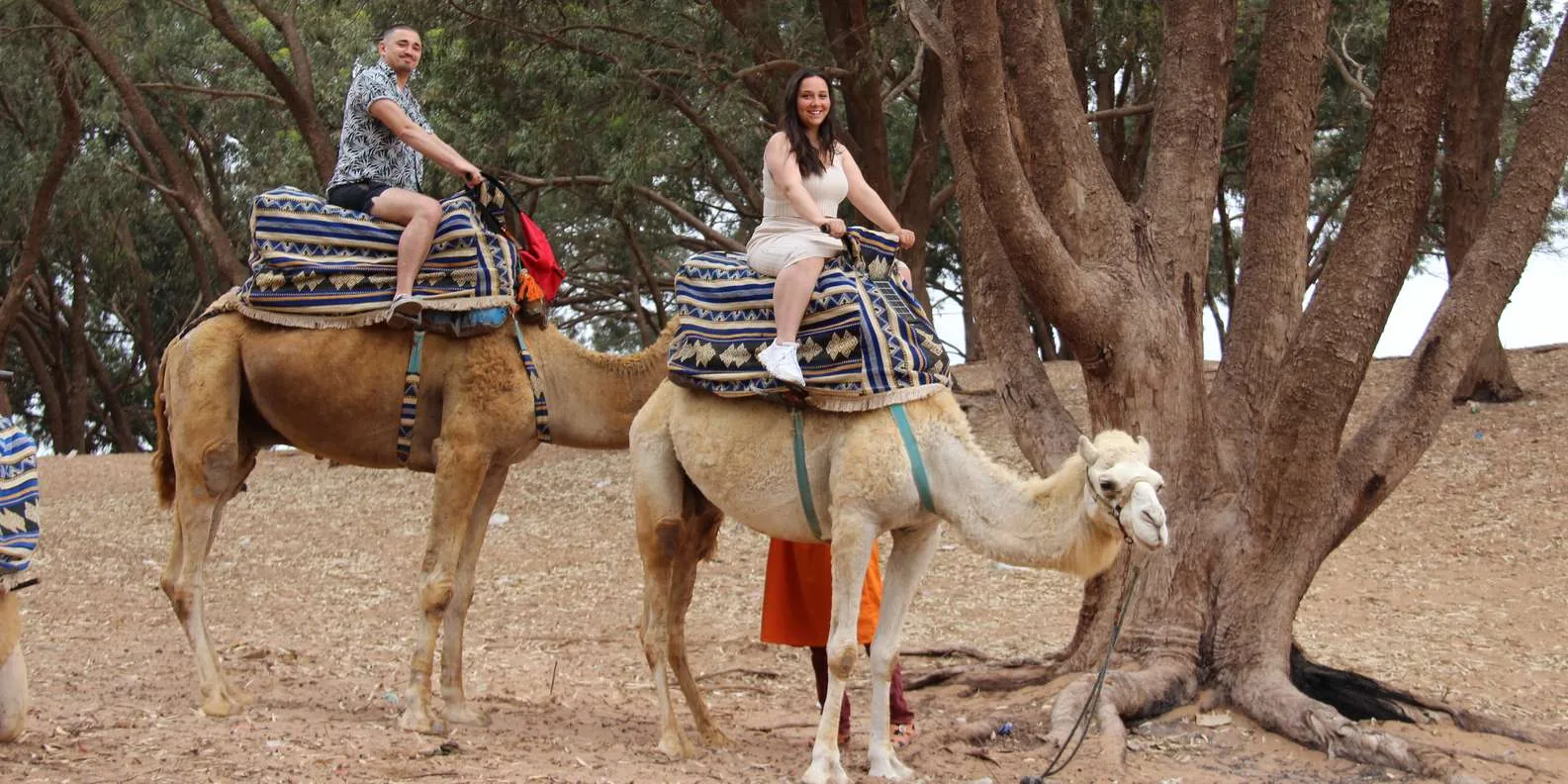 Camel Ride photo 9