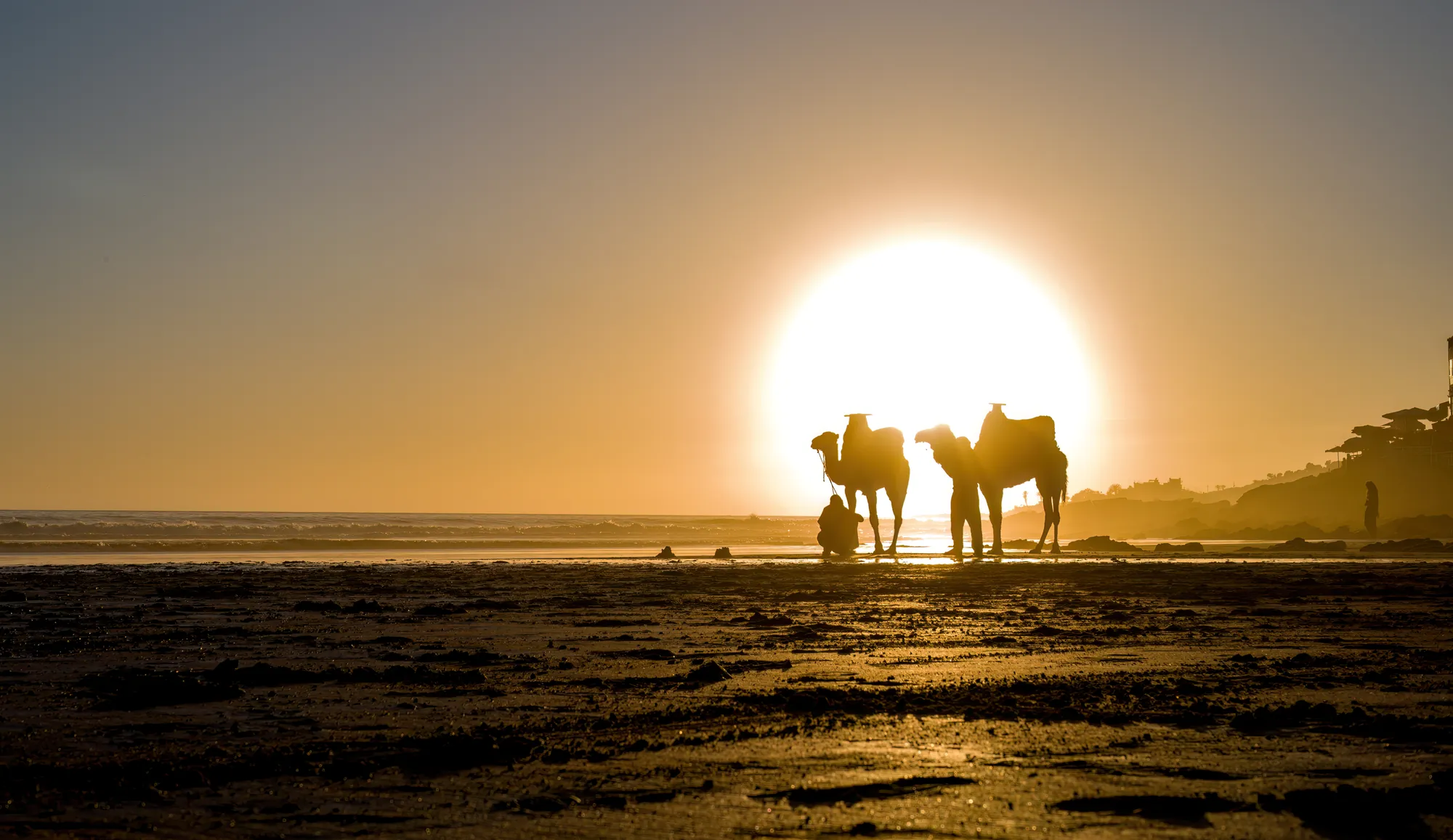Camel Ride photo 6