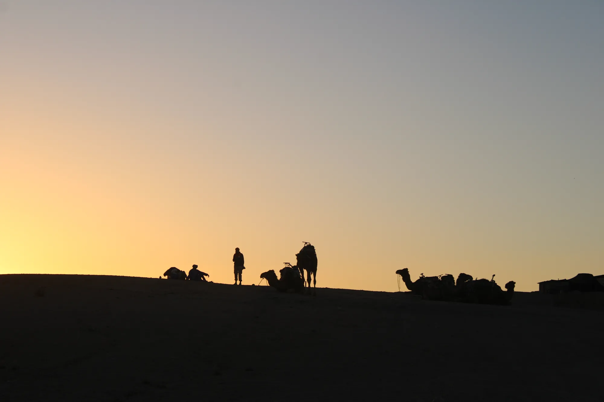 Camel Ride photo 12