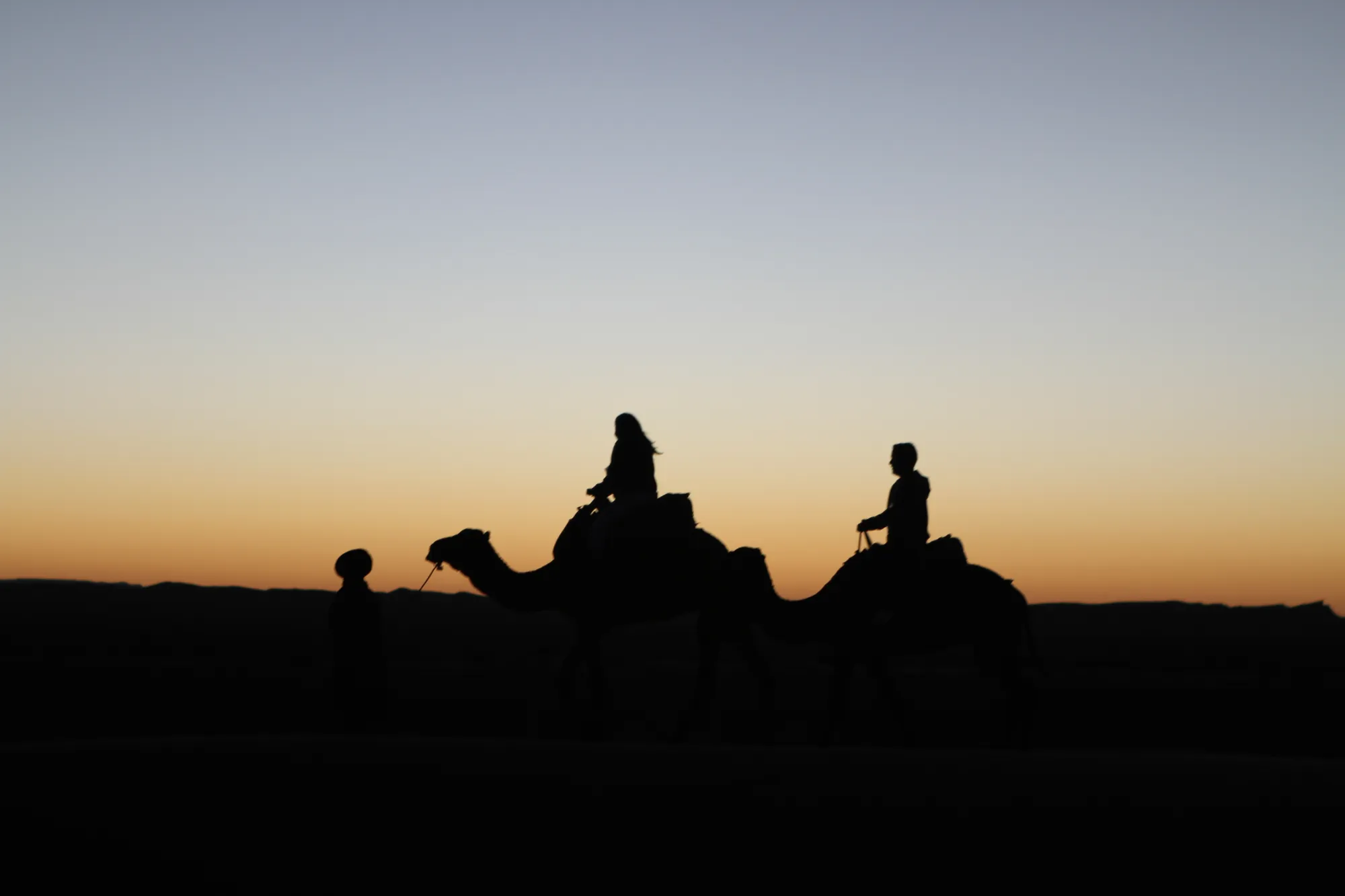 Camel Ride photo 16