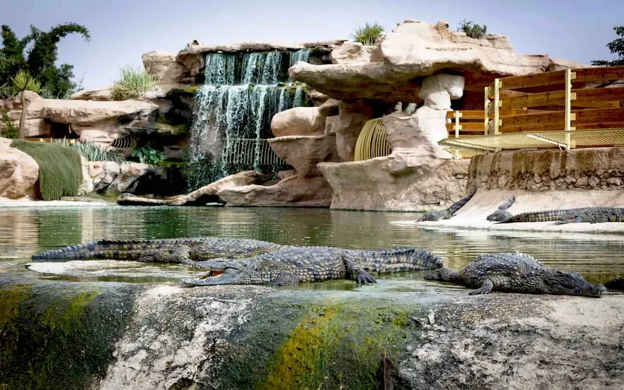 Crocoparc Agadir Morocco