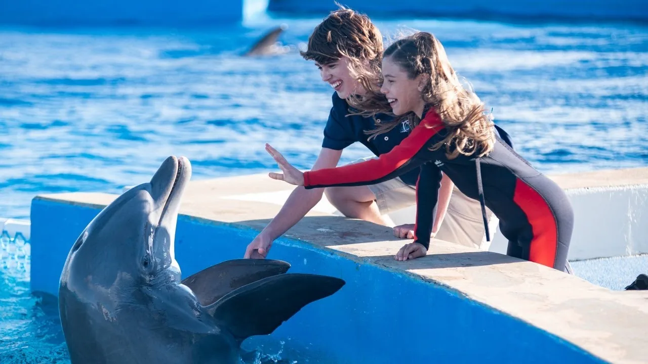 Dolphin Show photo 11
