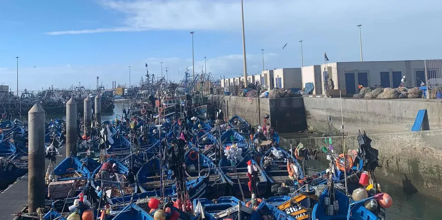 Essaouira Day Trip Agadir Morocco