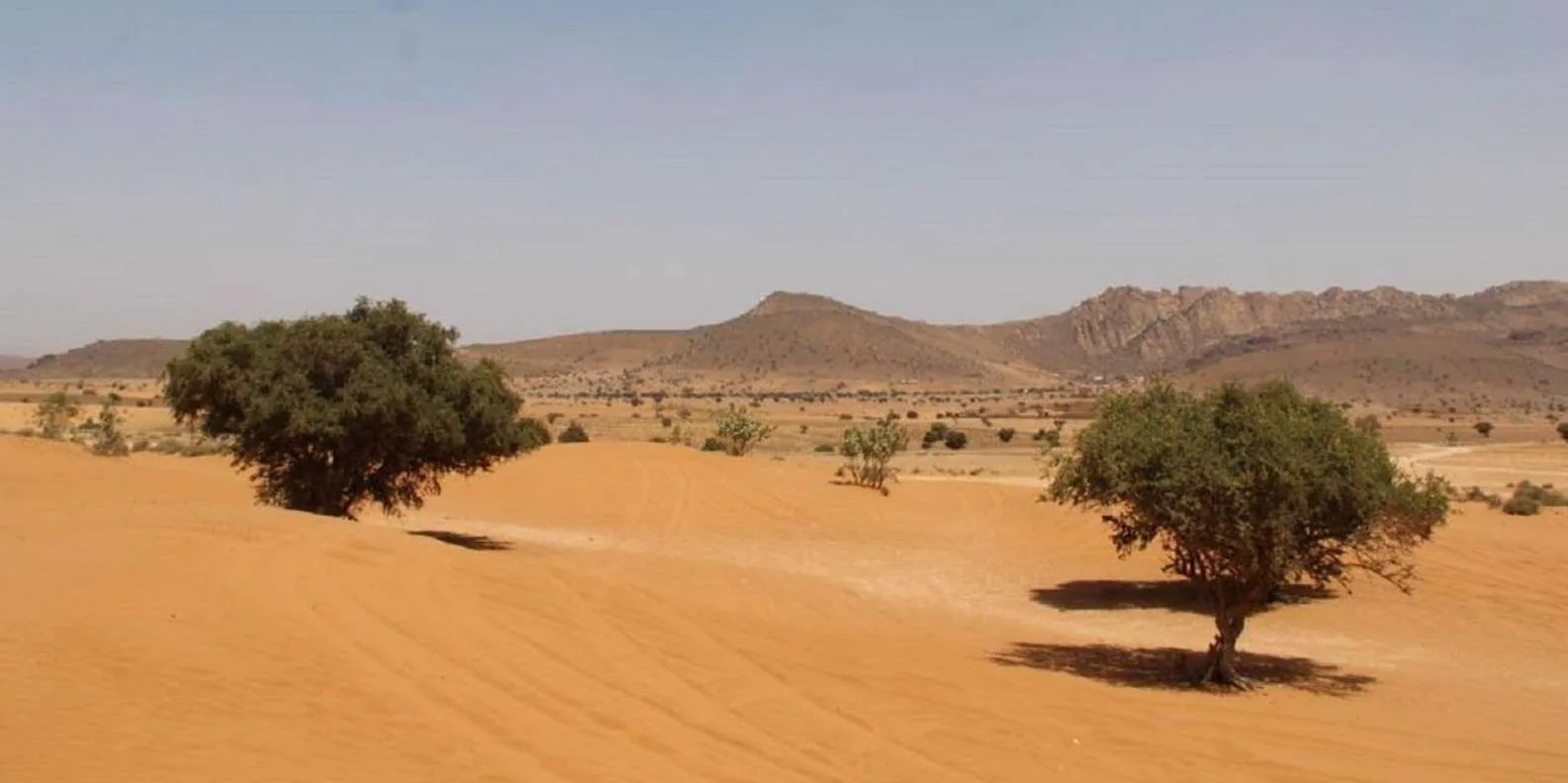 Small Desert Trip photo 10