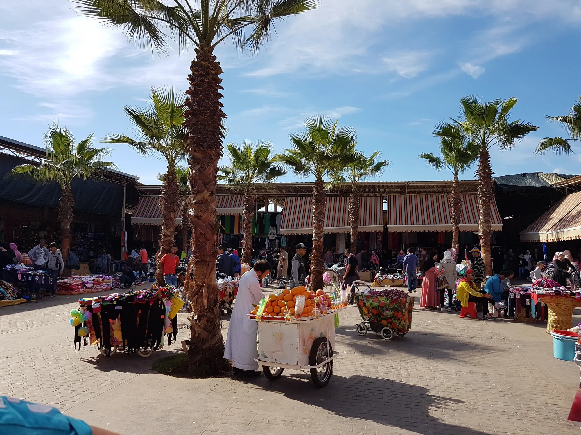 Souk El Had Tour Taghazout Morocco tour image 2