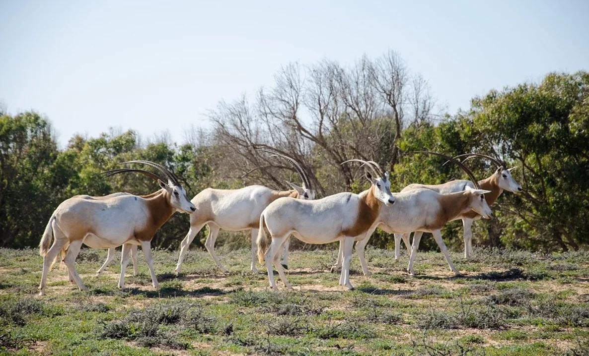 Souss National Park photo 10
