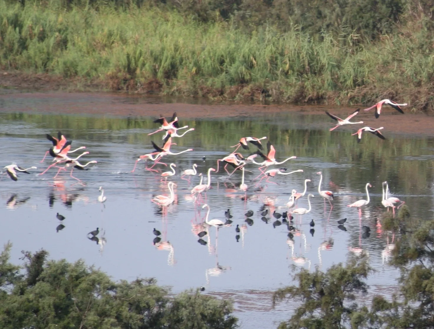 Souss National Park photo 11