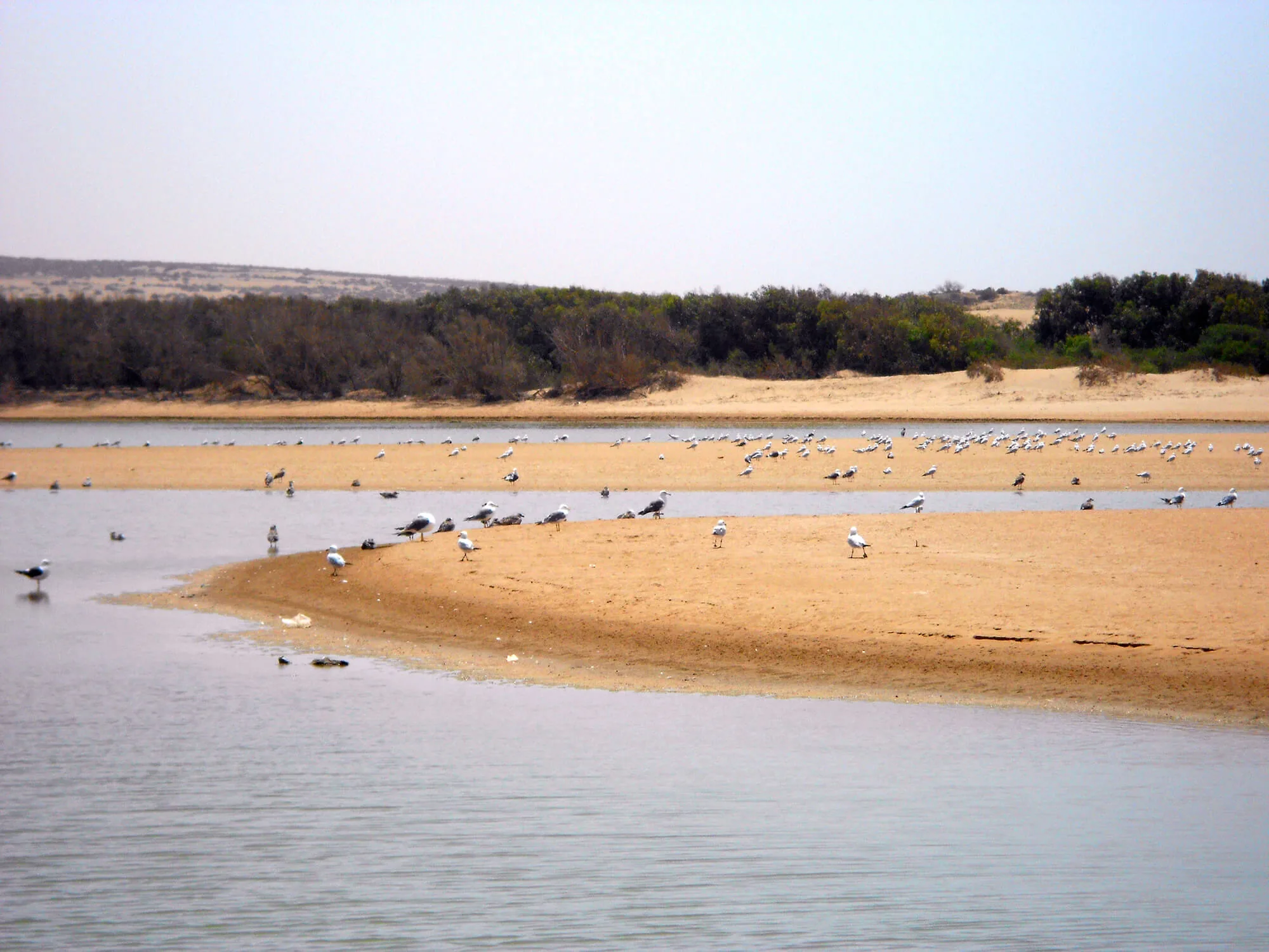 Souss National Park photo 13