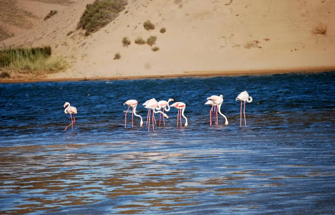 Souss National Park photo 14