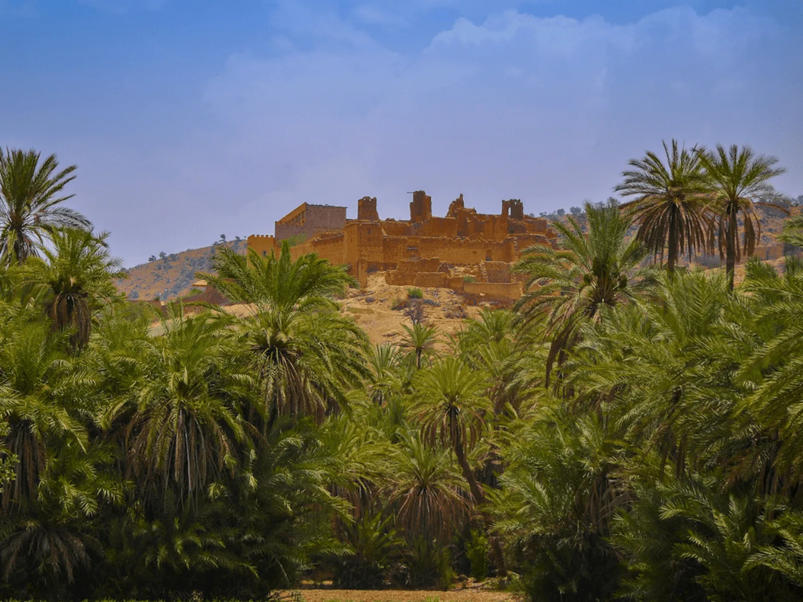 Taroudant Day Trip photo 13